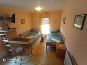 Vila Bliznakinja B, Zlatibor